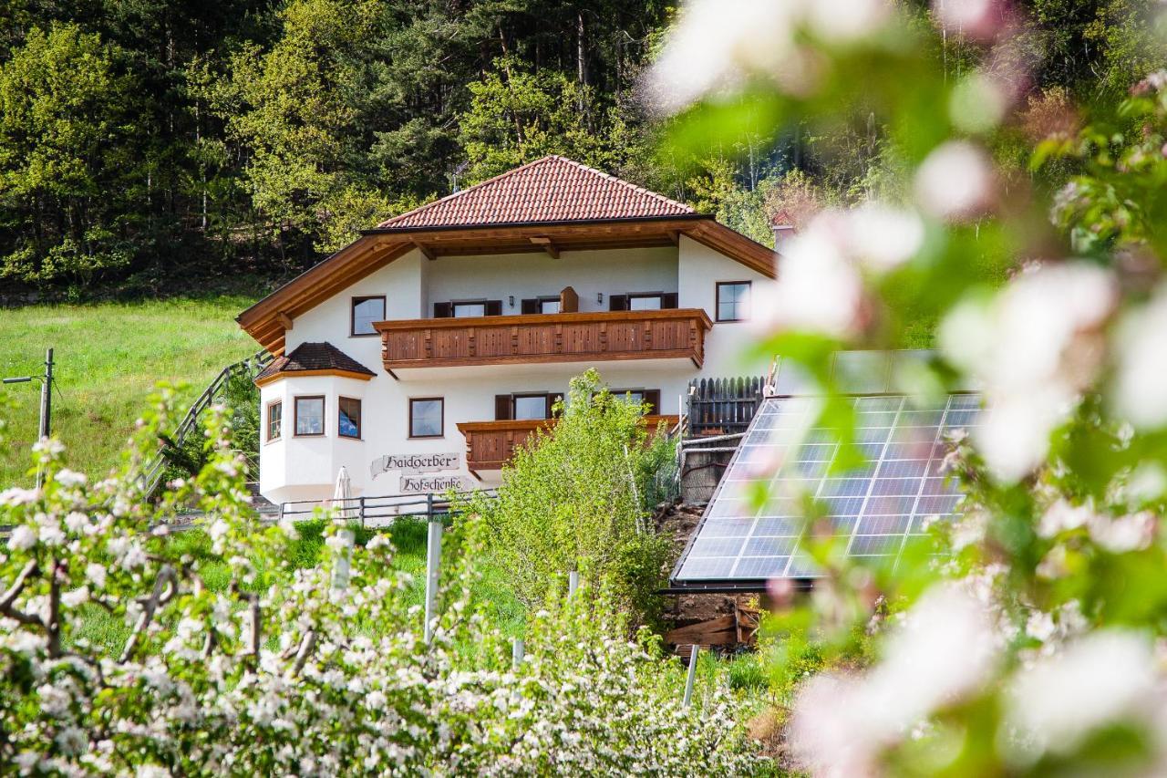 Haidgerberhof - Apartments & Homemade Food Longostagno エクステリア 写真