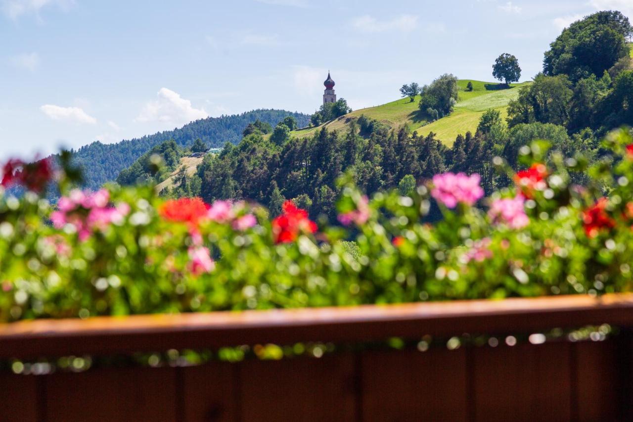 Haidgerberhof - Apartments & Homemade Food Longostagno エクステリア 写真