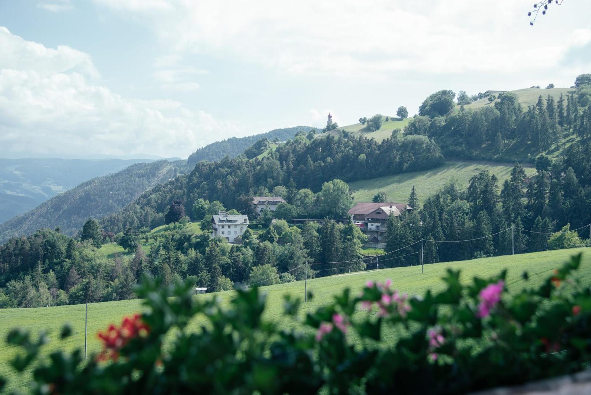 Haidgerberhof - Apartments & Homemade Food Longostagno エクステリア 写真